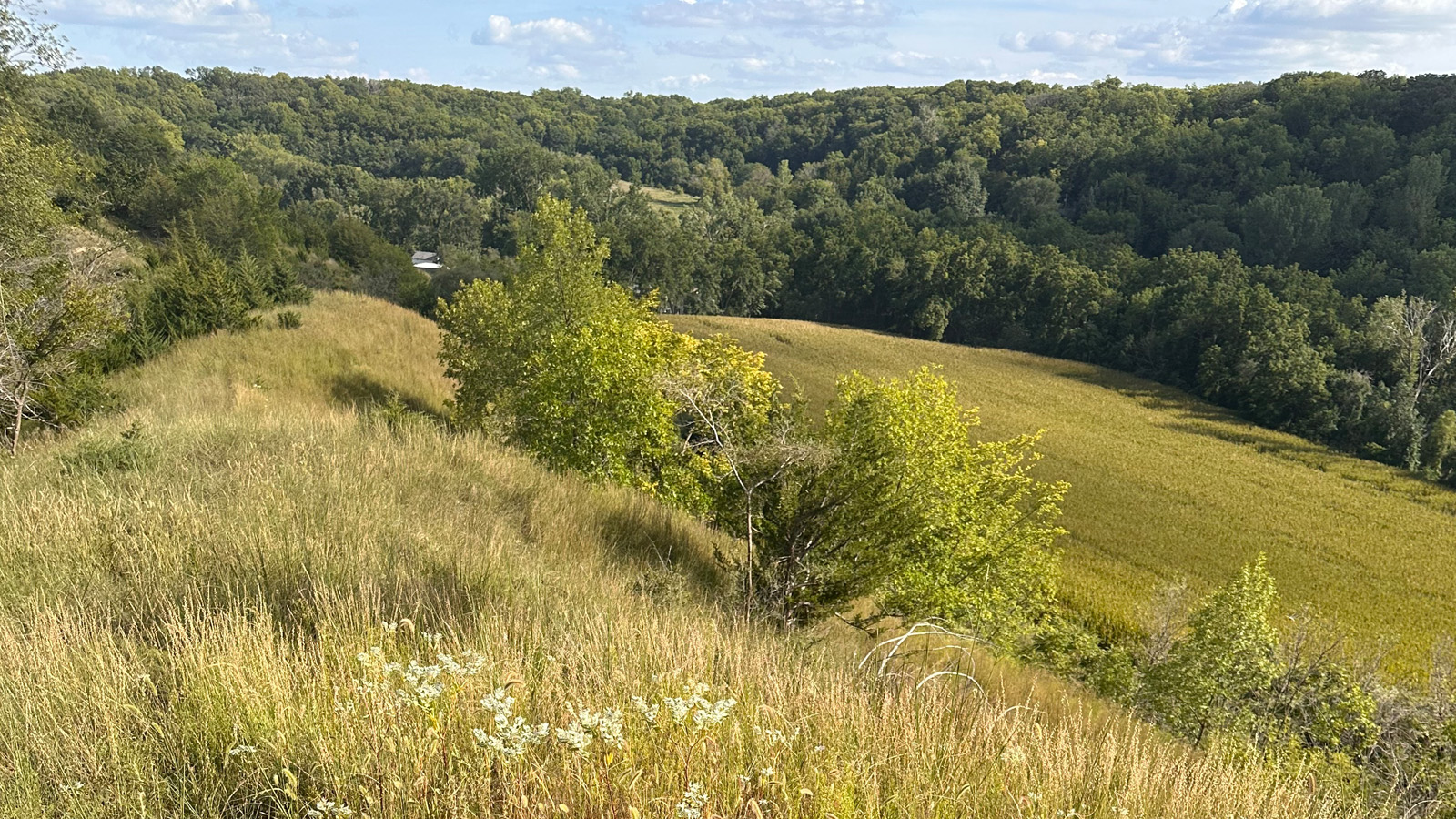 loess hills fields